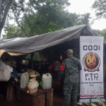 Destrucción de cultivos de marihuana causan pérdida superior a USD 4 millones en Pedro Juan Caballero