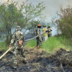 Casi todos los incendios forestales fueron provocados y serán investigados por la Fiscalía