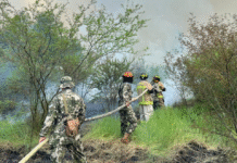 Casi todos los incendios forestales fueron provocados y serán investigados por la Fiscalía