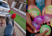 Concepción: le lanzaron globitos con agua y chocó contra auto estacionado