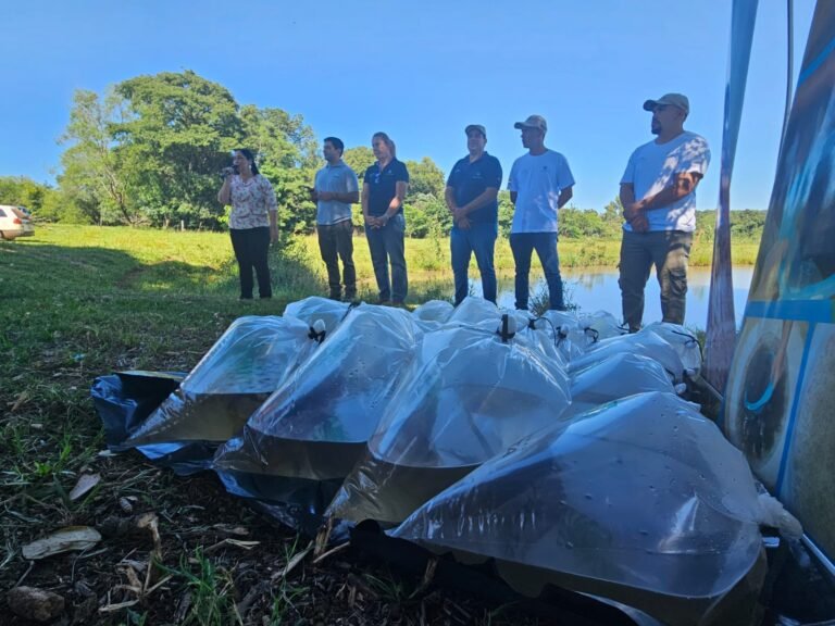Productores piscícolas de La Paz impulsan su economía con alevines entregados por Yacyretá