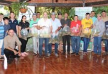 Yacyretá impulsa economía de pequeños productores piscícolas de Cambyretá con entrega de alevines