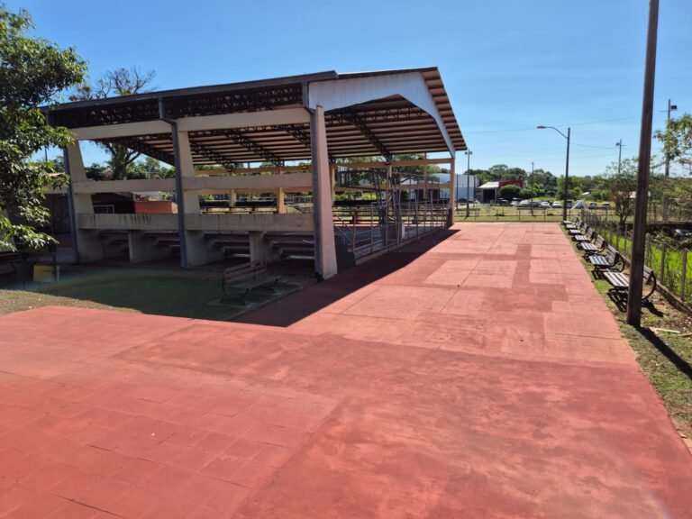 MEJORAMIENTO DEL POLIDEPORTIVO DE SAN ISIDRO: EJEMPLO DE LA GESTIÓN QUE PROPONE REMESOWSKI