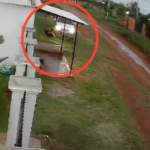 Imputan por feminicidio a hombre que atropelló a su pareja en J. Augusto Saldívar