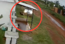 Imputan por feminicidio a hombre que atropelló a su pareja en J. Augusto Saldívar