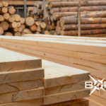 Exportaciones forestales: madera contrachapada se destaca como producto estratégico