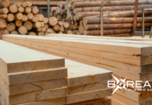 Exportaciones forestales: madera contrachapada se destaca como producto estratégico