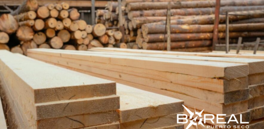 Exportaciones forestales: madera contrachapada se destaca como producto estratégico