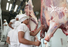 Paraguay y Bolivia abren mercado para exportación e importación de carne
