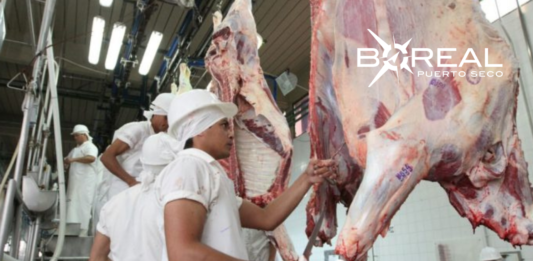 Paraguay y Bolivia abren mercado para exportación e importación de carne