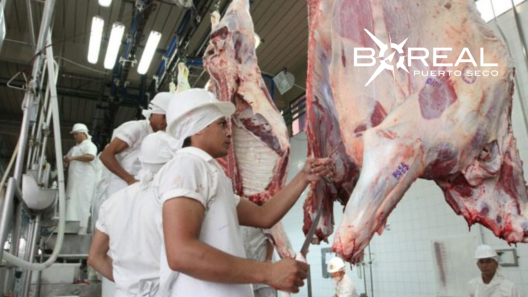 Paraguay y Bolivia abren mercado para exportación e importación de carne Paraguay y Bolivia abren mercado para exportación e importación de carne