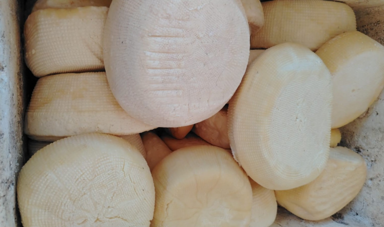 Comités de San Pedro producen hasta 2400 kilos de queso Paraguay ante alta demanda por Semana Santa