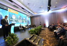 En un mundo que demanda descarbonización, Paraguay es el aliado natural, afirma Peña