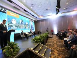 En un mundo que demanda descarbonización, Paraguay es el aliado natural, afirma Peña