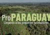 PRO PY / ITAPÚA TRANSFORMA LA AGRICULTURA FAMILIAR DE ITAPÚA: MAYOR CALIDAD Y CANTIDAD EN LA PRODUCCIÓN