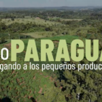 PRO PY / ITAPÚA TRANSFORMA LA AGRICULTURA FAMILIAR DE ITAPÚA: MAYOR CALIDAD Y CANTIDAD EN LA PRODUCCIÓN