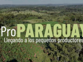 PRO PY / ITAPÚA TRANSFORMA LA AGRICULTURA FAMILIAR DE ITAPÚA: MAYOR CALIDAD Y CANTIDAD EN LA PRODUCCIÓN