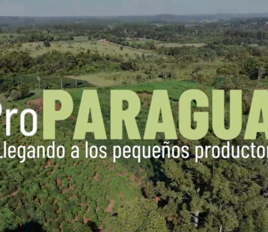 PRO PY / ITAPÚA TRANSFORMA LA AGRICULTURA FAMILIAR DE ITAPÚA: MAYOR CALIDAD Y CANTIDAD EN LA PRODUCCIÓN