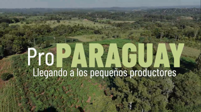 PRO PY / ITAPÚA TRANSFORMA LA AGRICULTURA FAMILIAR DE ITAPÚA: MAYOR CALIDAD Y CANTIDAD EN LA PRODUCCIÓN PRO PY / ITAPÚA TRANSFORMA LA AGRICULTURA FAMILIAR DE ITAPÚA: MAYOR CALIDAD Y CANTIDAD EN LA PRODUCCIÓN