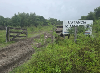 Investigan supuesto accidente aéreo en Alto Paraguay tras alerta internacional