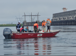 Presentan proyecto “Tras la estela del tigre” para el estudio y conservación del dorado en el río Paraná