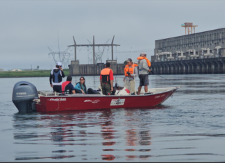 Presentan proyecto “Tras la estela del tigre” para el estudio y conservación del dorado en el río Paraná