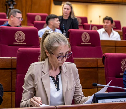 Comitiva de la EBY participó de audiencia pública en Diputados