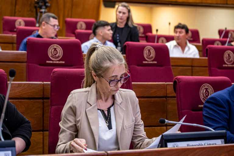 Comitiva de la EBY participó de audiencia pública en Diputados