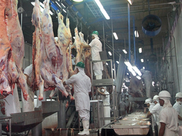 Exportaciones pecuarias alcanzan USD 920 millones al cierre de mayo, con crecimiento en sectores porcino y aviar