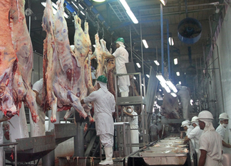 Exportaciones pecuarias alcanzan USD 920 millones al cierre de mayo, con crecimiento en sectores porcino y aviar