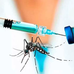 Tras fallecimiento de dos personas, Brasil suspende vacunación contra el dengue