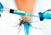 Tras fallecimiento de dos personas, Brasil suspende vacunación contra el dengue