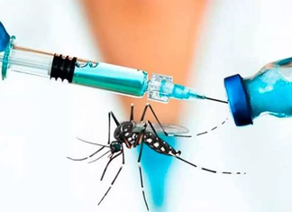 Tras fallecimiento de dos personas, Brasil suspende vacunación contra el dengue