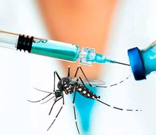 Tras fallecimiento de dos personas, Brasil suspende vacunación contra el dengue