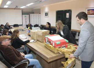 EBY abre ofertas para consultoría del proyecto de Avenida de Circunvalación de Encarnación