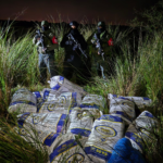 OPERATIVO CONJUNTO DE LA PREFECTURA Y LA FTC SUR LOGRA DECOMISAR IMPORTANTE CARGA DE MARIHUANA