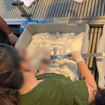 Caen dos mujeres en el aeropuerto Silvio Pettirossi con 44 huevos de guacamayo
