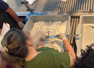 Caen dos mujeres en el aeropuerto Silvio Pettirossi con 44 huevos de guacamayo
