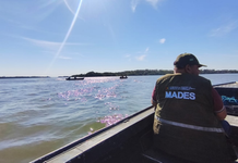 Despliegan operativo para proteger migración de cardúmenes en el río Paraná
